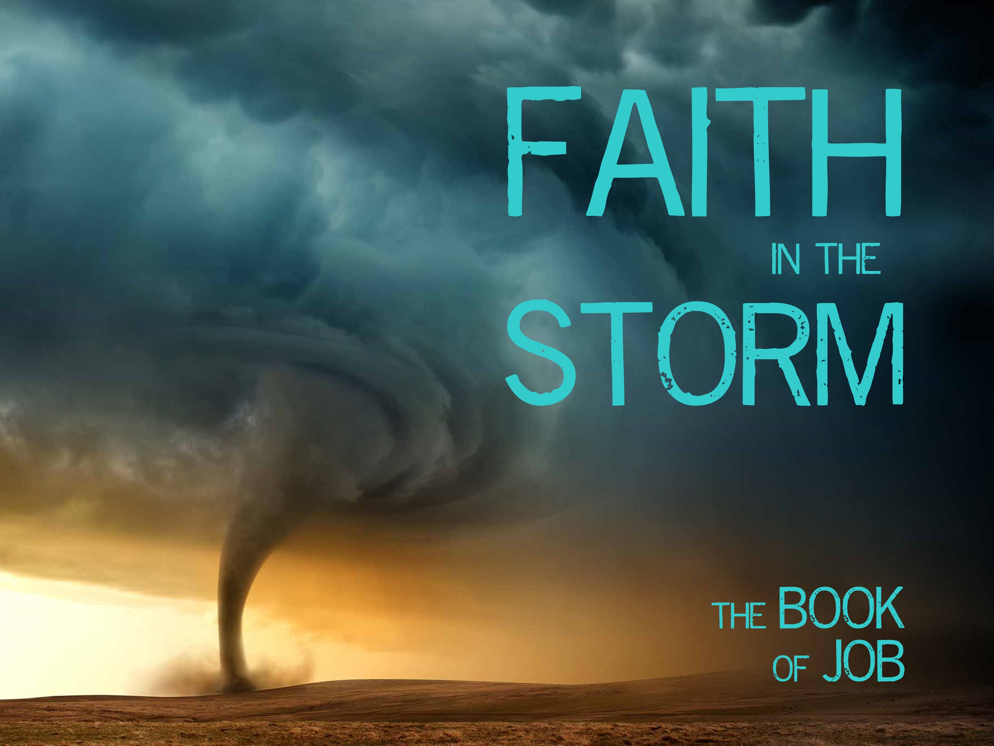 Faith In The Storm poster